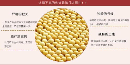 鹤香米业 东北农家自产豆浆黄豆非转基因特产杂粮600g真空包装