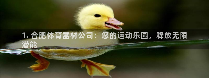 星欧娱乐最建议买的三个产品有哪些：1. 合肥体育器材