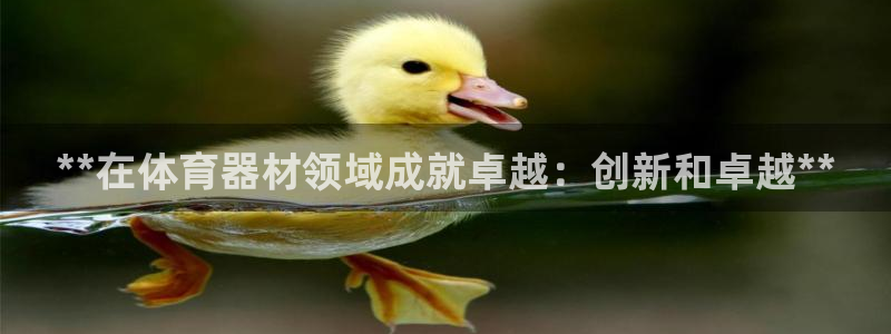 星娱乐文化传媒有限公司：**在体育器材领域成就卓越：