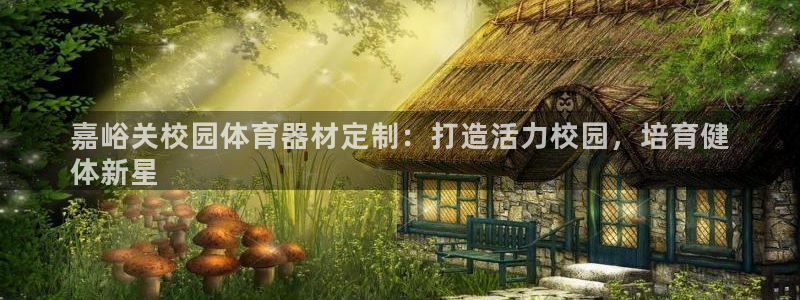 星娱乐文化传媒：嘉峪关校园体育器材定制：打造活力校园