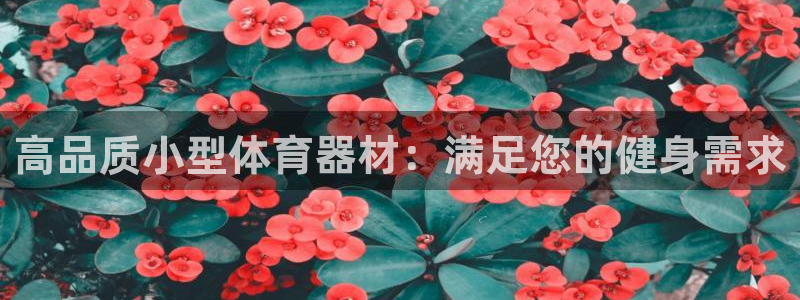 星欧娱乐挂机教程视频：高品质小型体育器材：满足您的健