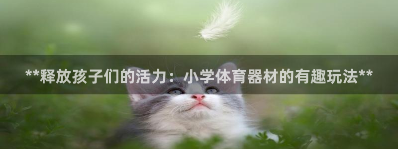 星欧娱乐扣款时间查询方法是什么呢：**释放孩子们的活