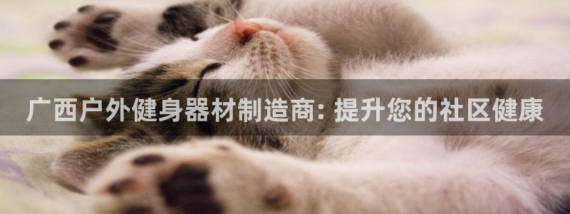 星欧娱乐平台怎么样啊：广西户外健身器材制造商: 提升