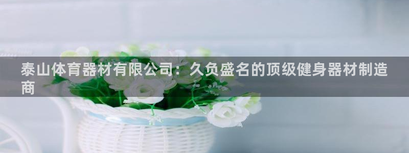 星澳娱乐公司怎么样：泰山体育器材有限公司：久负盛名的
