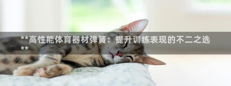 星欧娱乐属于什么档次的公司啊：**高性能体育器材弹簧
