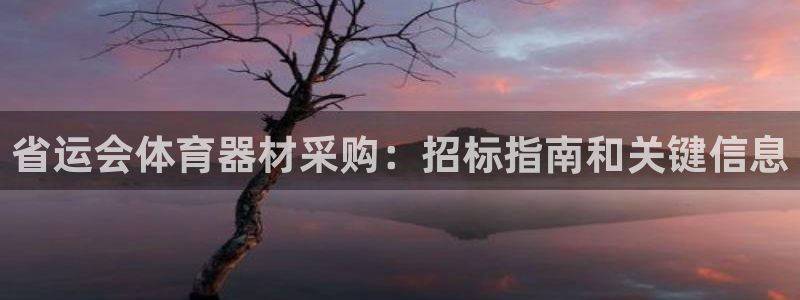 星娱乐online：省运会体育器材采购：招标指南和关