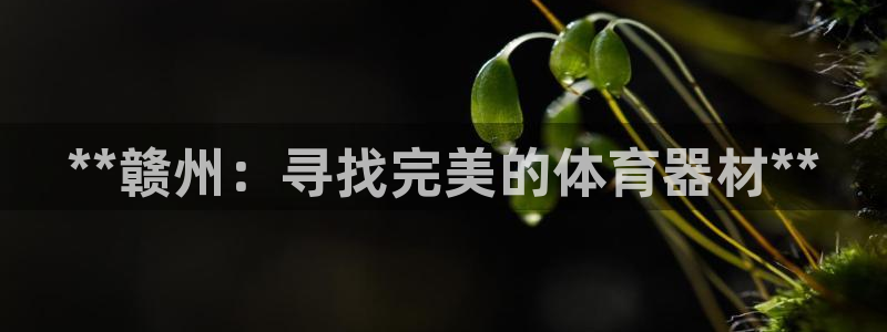星欧娱乐平台测速线路：**赣州：寻找完美的体育器材*