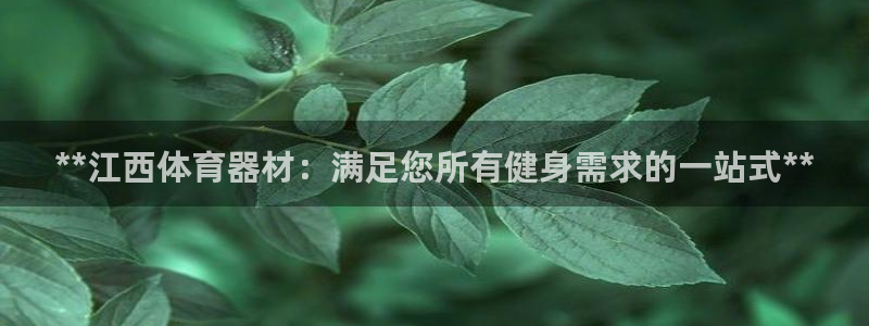 星娱乐online创作的原声：**江西体育器材：满足