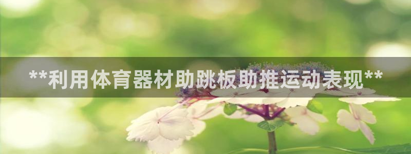 星奥娱乐集团怎么样