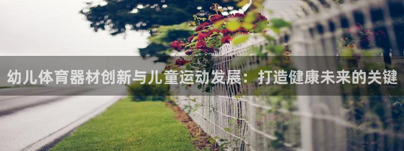 星欧娱乐是什么品牌：幼儿体育器材创新与儿童运动发展：