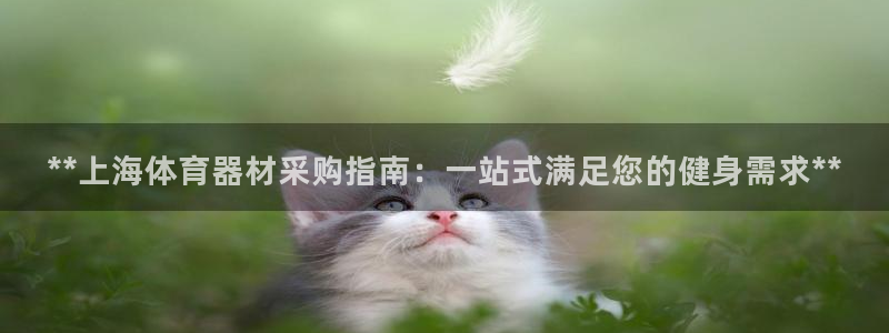星欧娱乐是正规平台吗安全吗知乎：**上海体育器材采购