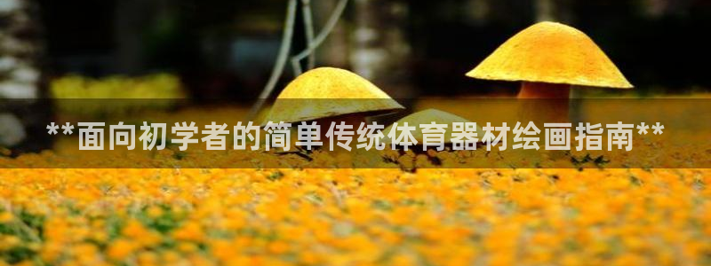 星欧娱乐平台量7O777：**面向初学者的简单传统体