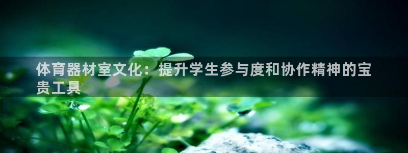 星奥娱乐集团股份有限公司招聘