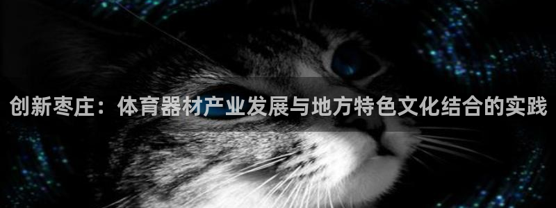 星奥娱乐集团官网