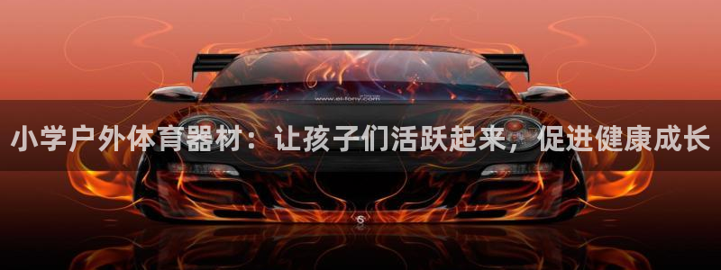 星欧娱乐总代.直开.中国：小学户外体育器材：让孩子们