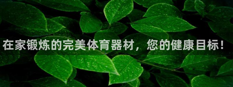 星欧娱乐官网下载安卓：在家锻炼的完美体育器材，您的健