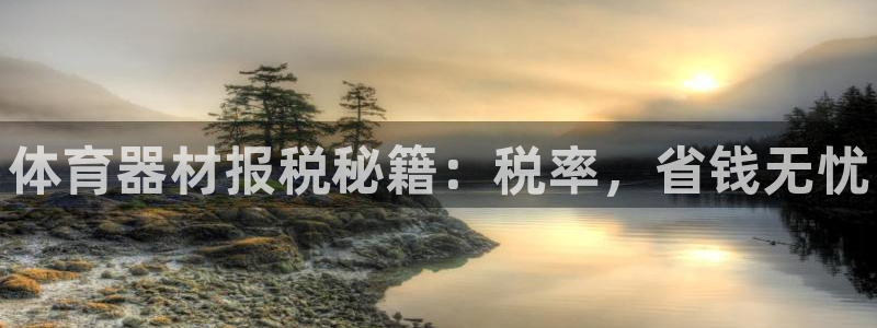 星欧娱乐平台怎么样：体育器材报税秘籍：税率，省钱无忧