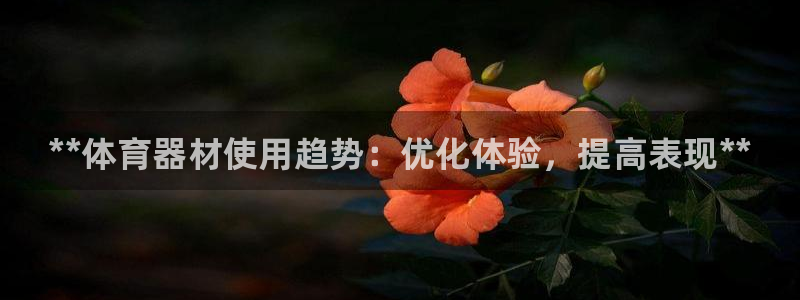 星欧娱乐挂机教程：**体育器材使用趋势：优化体验，提高表现* 