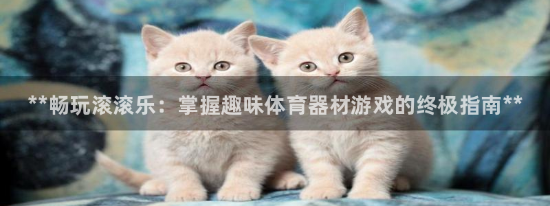 星娱乐文化传媒：**畅玩滚滚乐：掌握趣味体育器材游戏的终极指