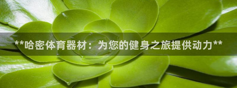 星欧娱乐官方客服联系方式：**哈密体育器材：为您的健身之旅提 