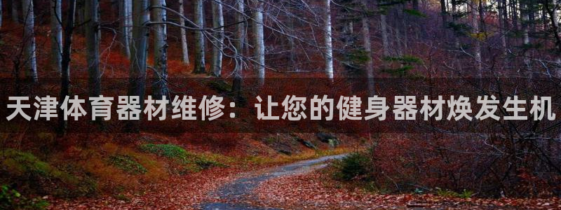 星奥娱乐艺人：天津体育器材维修：让您的健身器材焕发生