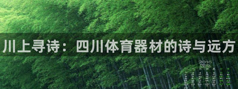 星欧娱乐的创始人背景故事介绍