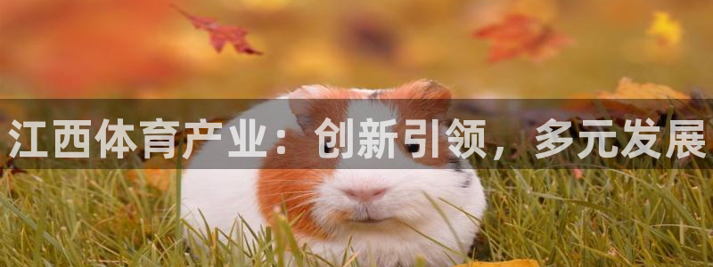 星欧娱乐官网下载安卓