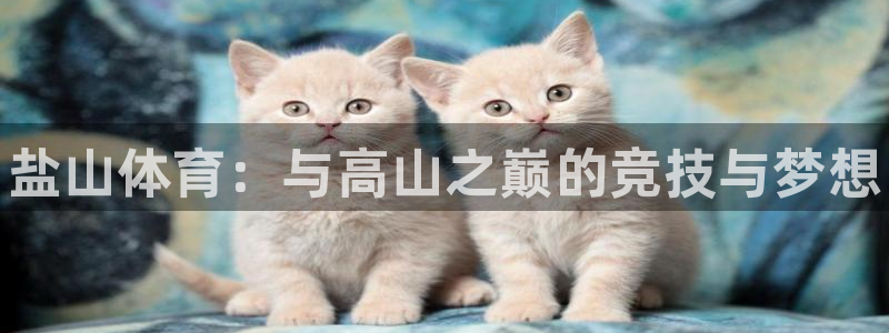 星欧娱乐官网首页下载：盐山体育：与高山之巅的竞技与梦想
