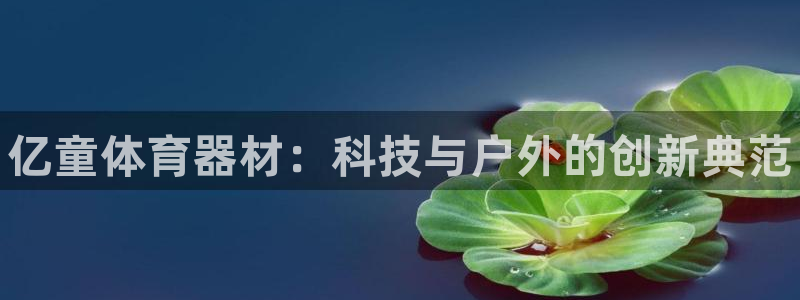 星欧娱乐热最建议去的三个地方：亿童体育器材：科技与户外的创新