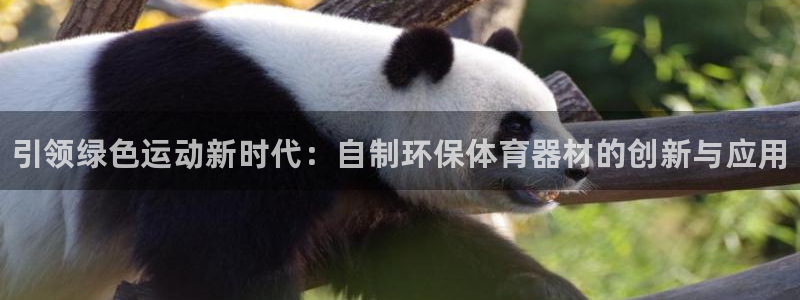 星欧娱乐联和哪个品牌合作：引领绿色运动新时代：自制环保体育器 