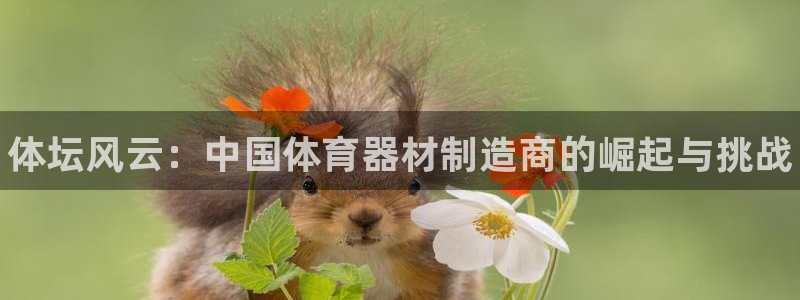 星欧娱乐公司：体坛风云：中国体育器材制造商的崛起与挑