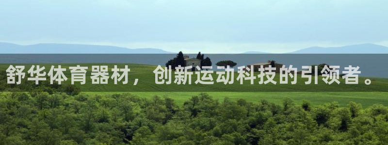 星欧娱乐挂机教程：舒华体育器材，创新运动科技的引领者