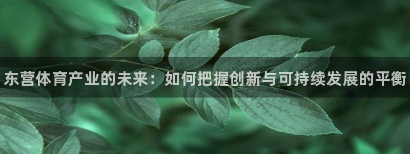 星娱乐online：东营体育产业的未来：如何把握创新