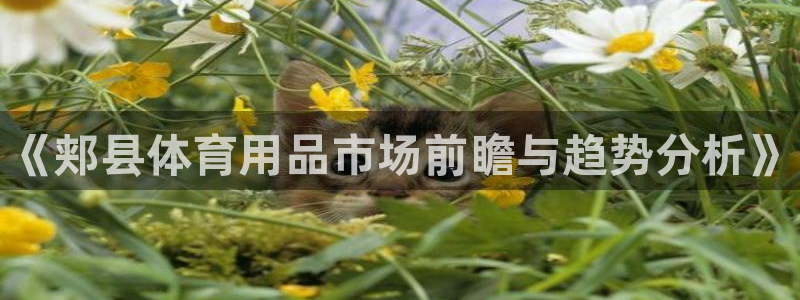 星欧娱乐银行卡怎么登录：《郏县体育用品市场前瞻与趋势