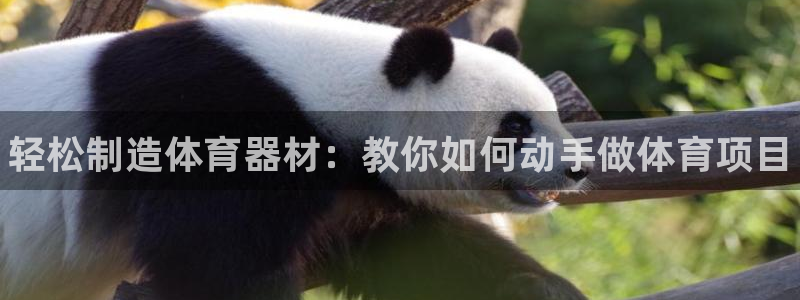 星欧娱乐联最新功能介绍：轻松制造体育器材：教你如何动