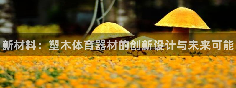 星欧娱乐官网下载：新材料：塑木体育器材的创新设计与未