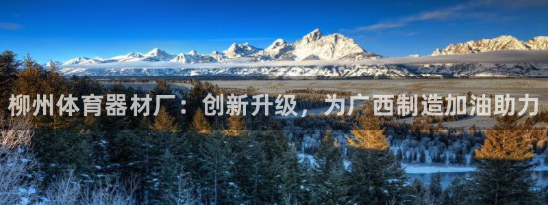 星欧娱乐法711.112怎么扣钱：柳州体育器材厂：创