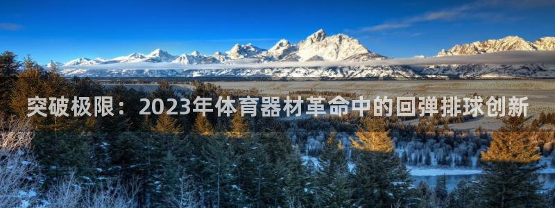 星欧娱乐官网首页：突破极限：2023年体育器材革命中的回弹排